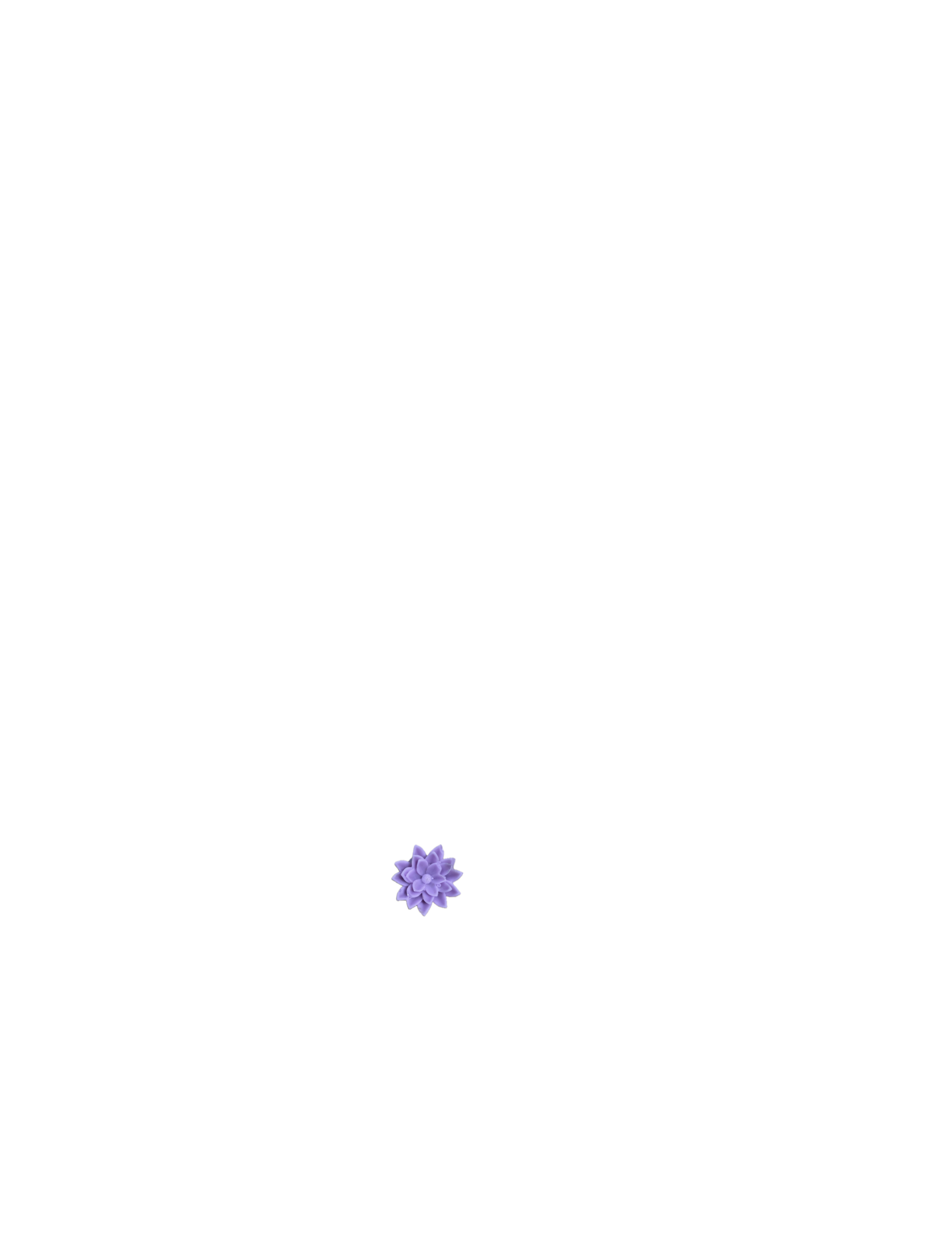 Vela_Lavender_1
