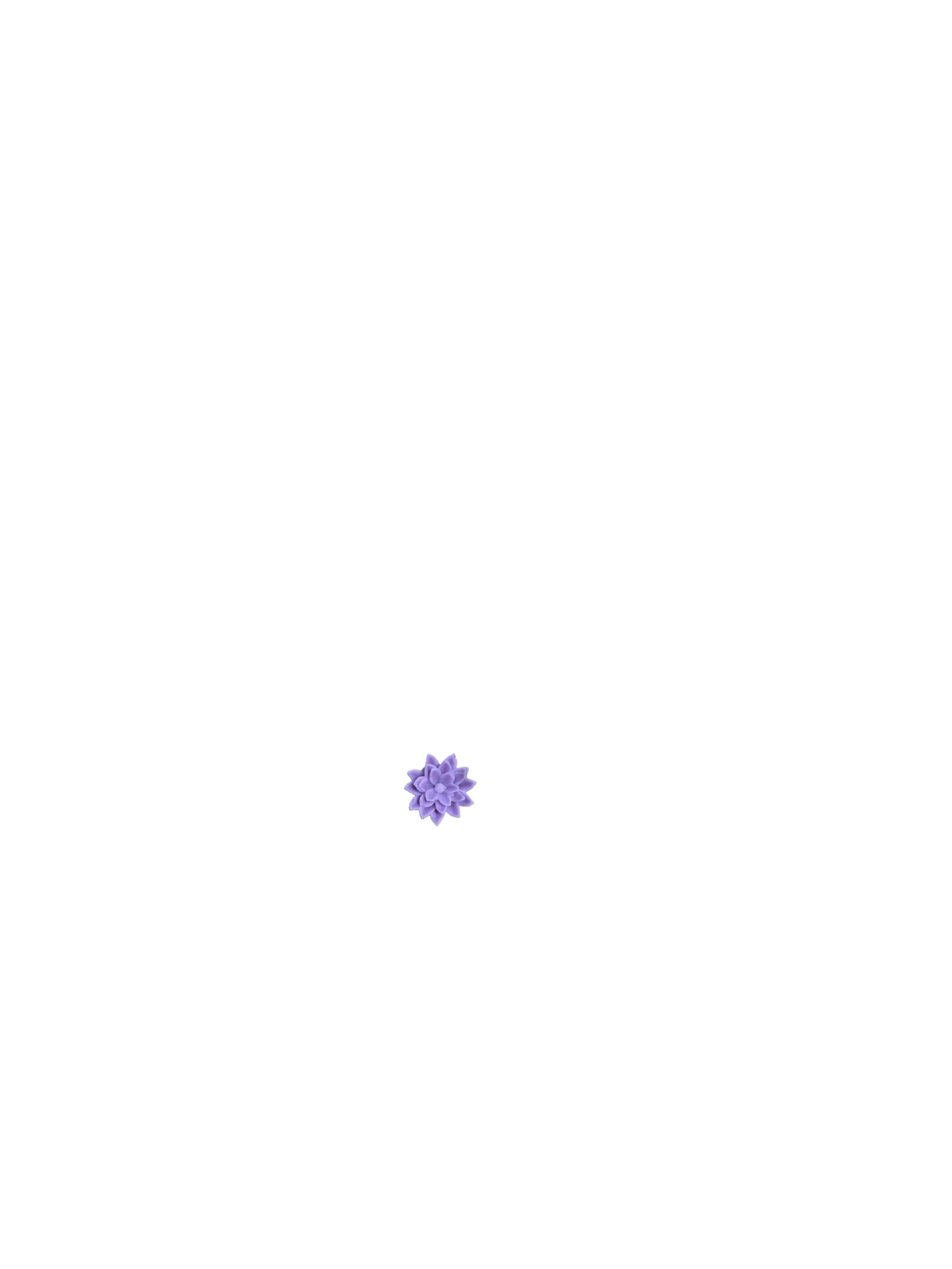 Vela_Lavender_2