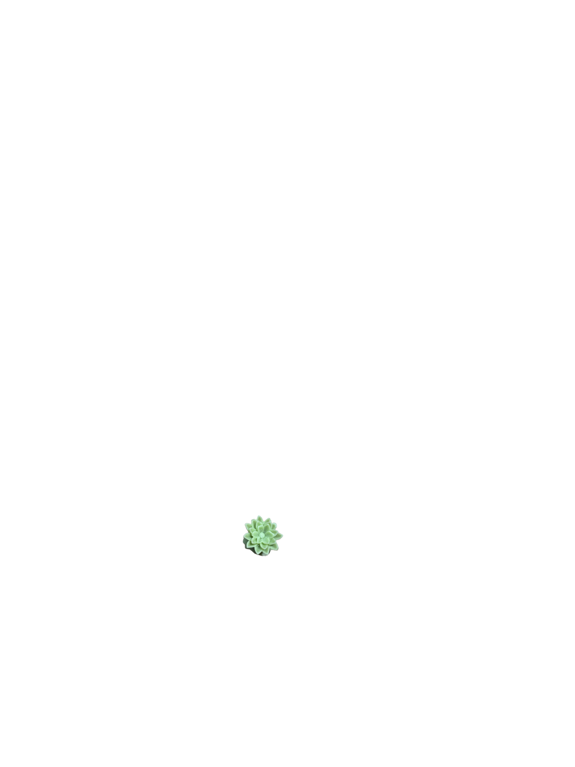 Vela_Lemon_Tea_2
