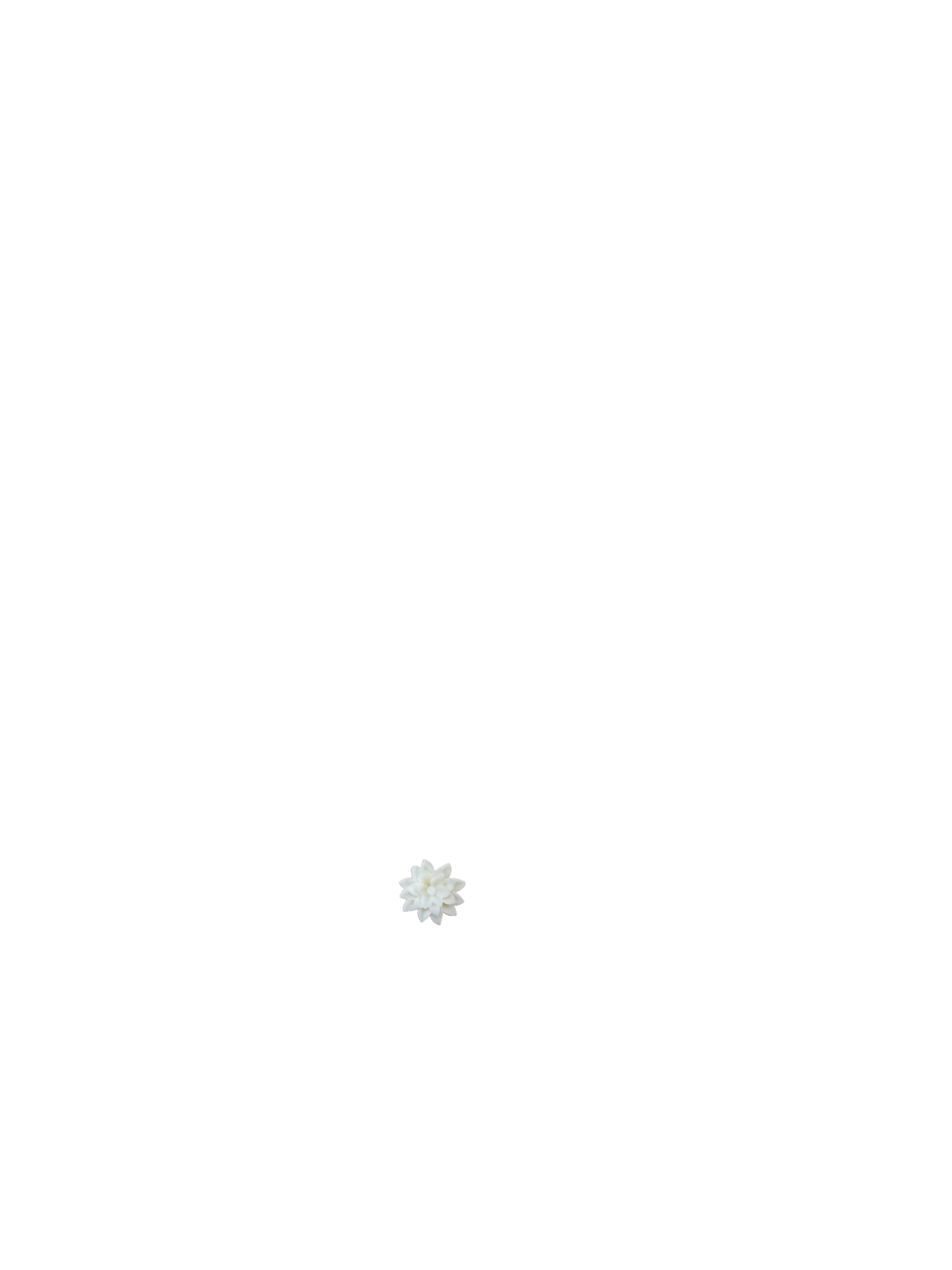 Vela_White_Tea_2