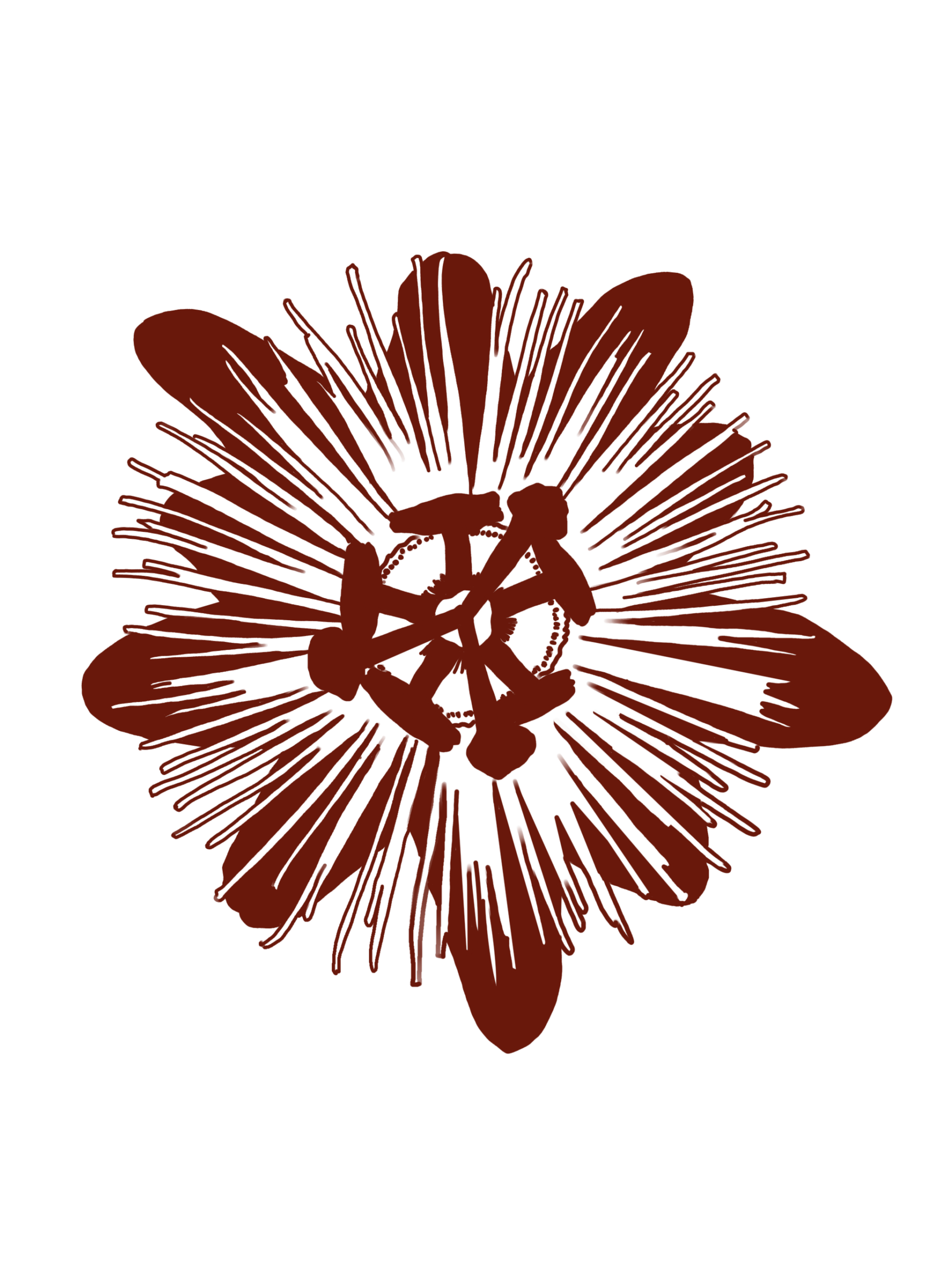 Pasiflora